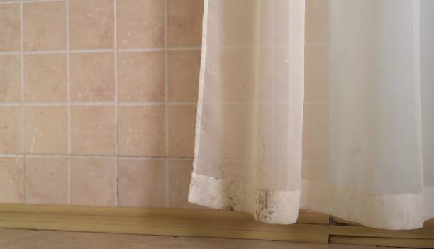 Best Mold Odor Removal Services  in Kennedale, TX
