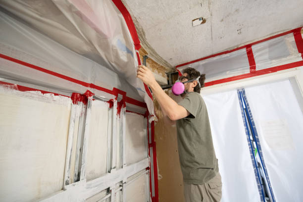 Reliable Kennedale, TX Mold Removal Solutions