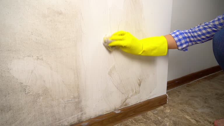 Best Indoor Air Quality Assessment  in Kennedale, TX