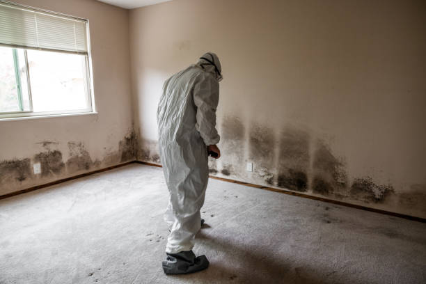 Best Air Quality Testing for Mold Spores  in Kennedale, TX